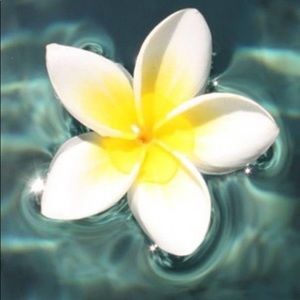 Meet your Posher, Miah